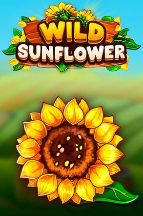 Wild Sunflower