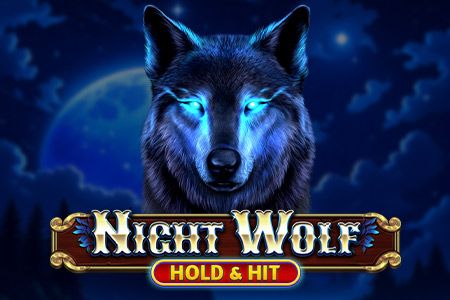Night Wolf - Hold & Hit Night Wolf - Hold & Hit