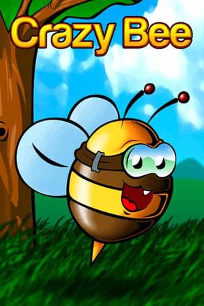 Crazy Bee